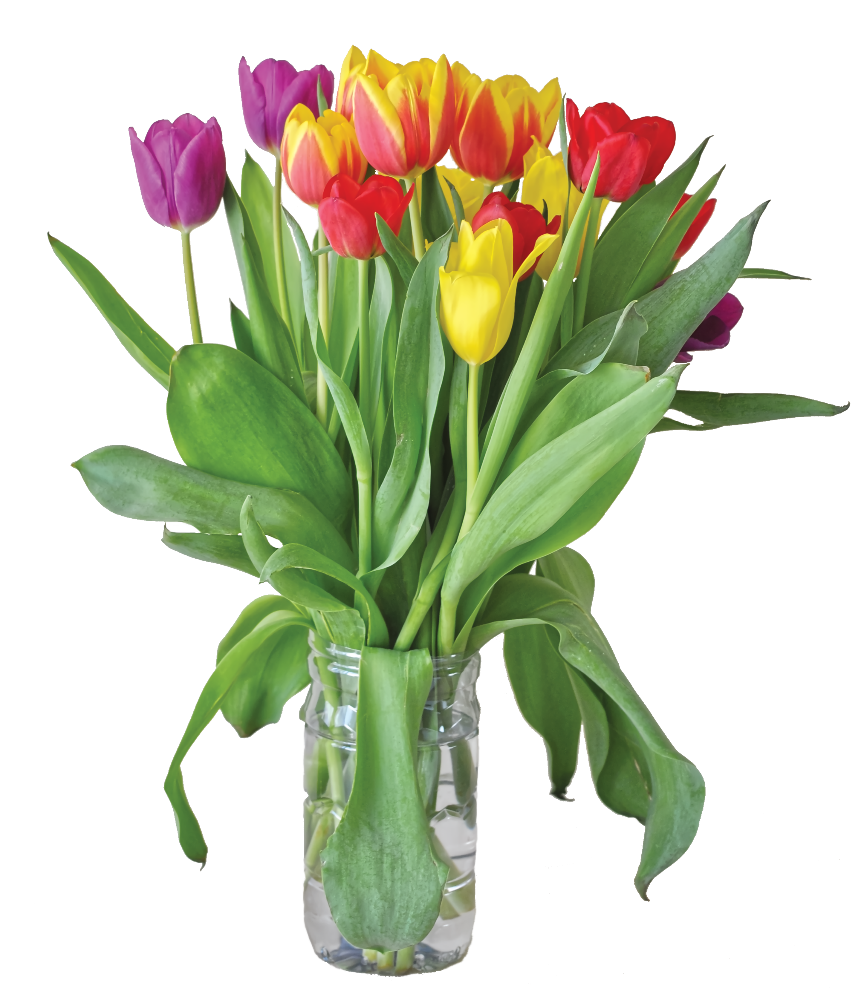 tulips with mask